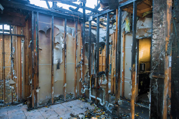 Professional Fire Damage Removal technician working in Delmar, MD